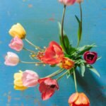 flowers, tulips, spring, thank you, happy mothers day, get well soon, flower wallpaper, beautiful flowers, congratulations, flower background, nature, greeting card, blossoms, anniversary